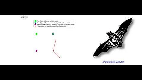 Algorithm of collective intelligence: Interdisciplinary study of swarming behaviour in bats
