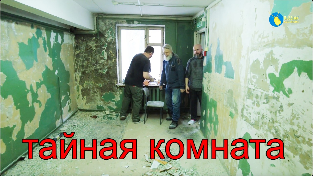 Тайная комната