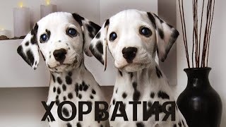 ХОРВАТИЯ | ИНТЕРЕСНЫЕ ФАКТЫ #интересныефакты #путешествия #хорватия