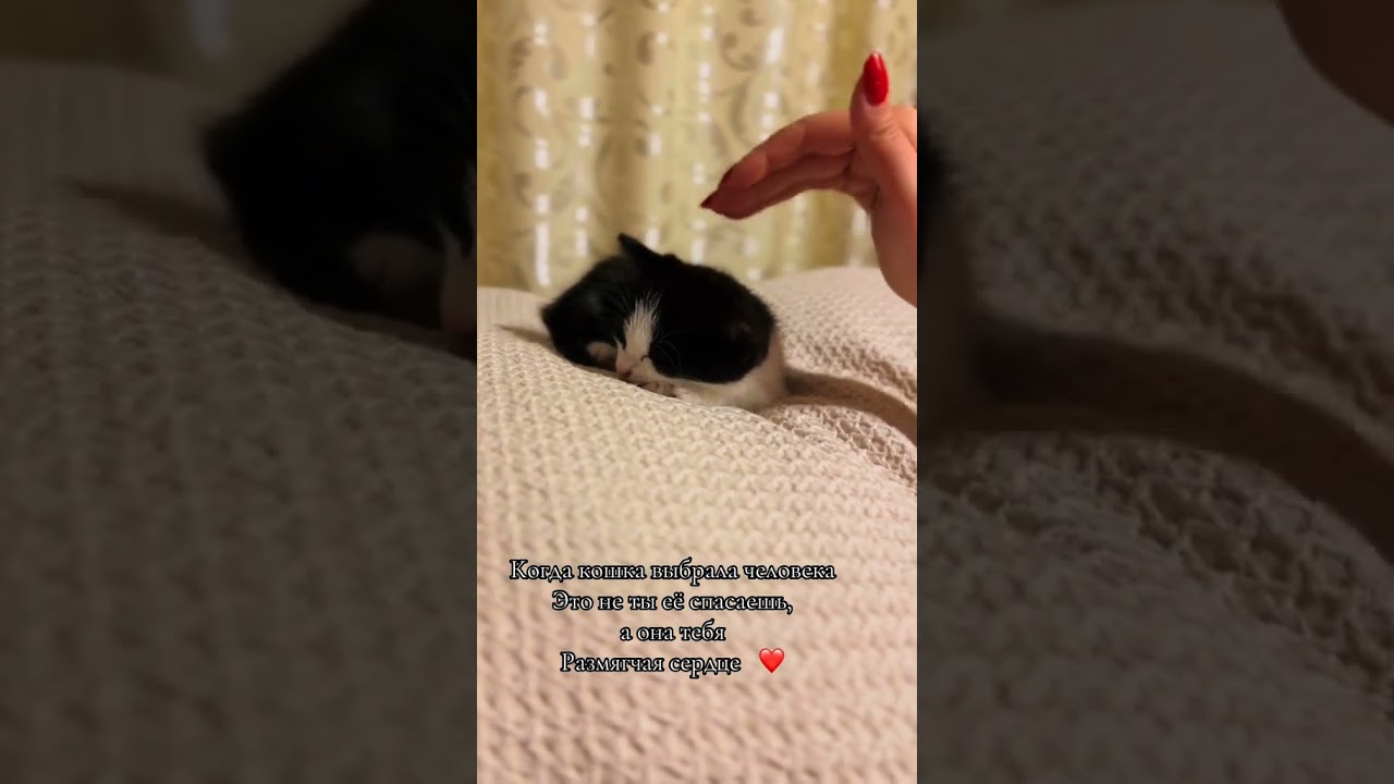 Явление красоты сердца ❤️