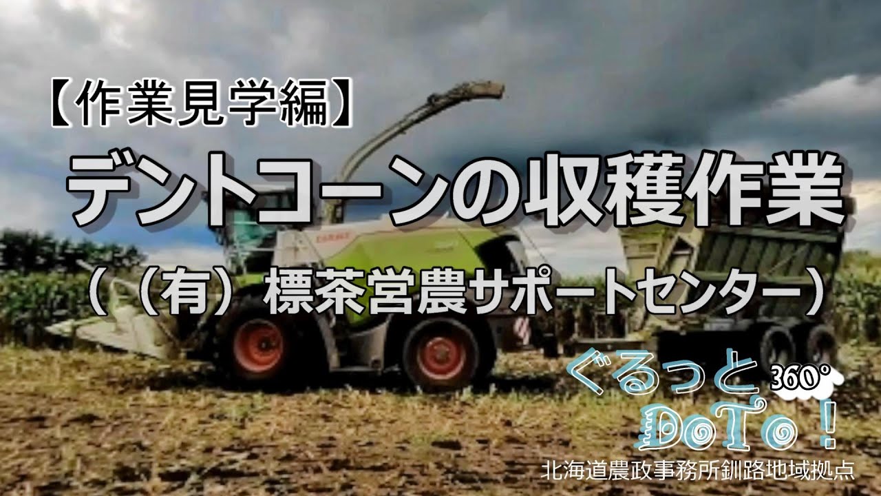 ぐるっとDoTo！360°【作業見学編】飼料用とうもろこし 