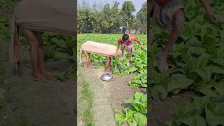 Download Lagu Seeing the incident, the man jumped into the ground. MP3