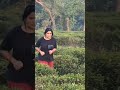 ddn tea garden 🥰🏡