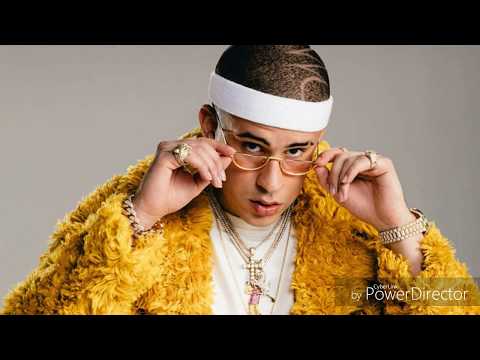 Bad Bunny - Ser Bichote (Audio)