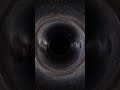 The Joe Rogan Experience - Andrew details how a mother got over a year in prison for an  TMT #shorts