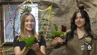 New reptile store, zoo opens in Grover Beach