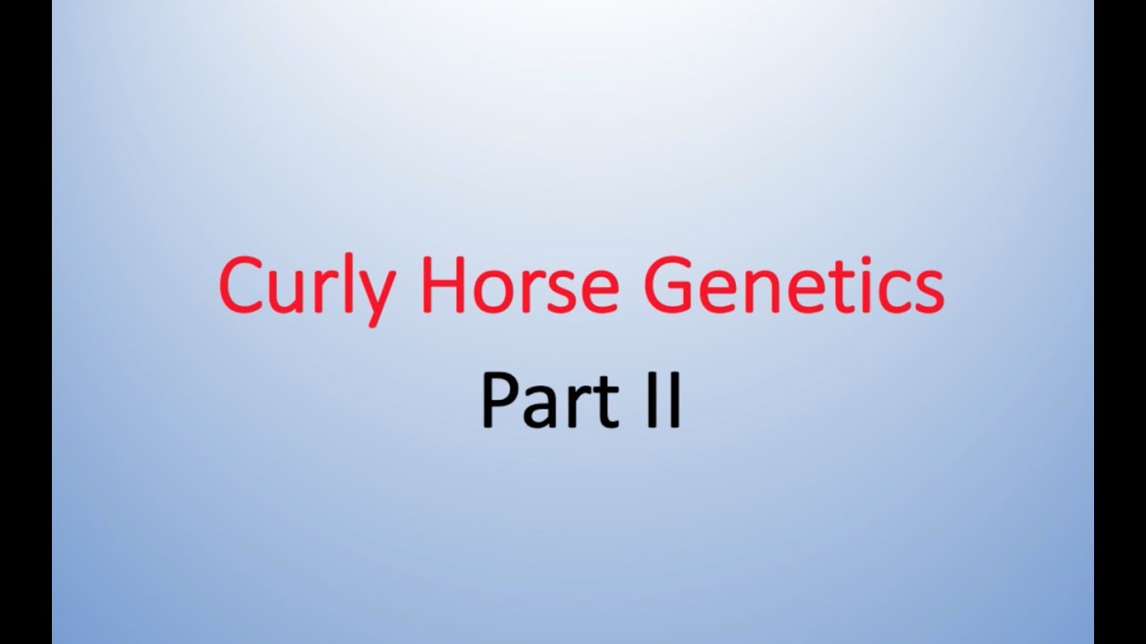 Curly Horse Genetics Part II