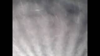 PICT2943
