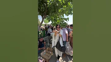بازار خلیج تهران دنیای پرندگان و سگ و گربه 