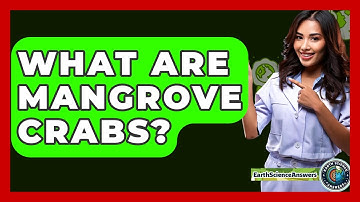 What Are Mangrove Crabs? - Earth Science Answers