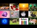 We Love All the Colors 🌈|The Colors Song 🎶|Nursery Rhymes & Kids Learning #ColorNames #NurseryRhymes