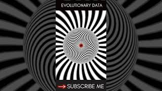 You Wont Believe What This Illusion Does  illusion magic trippy