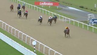 Big debut! Sea The Stars colt Sea The Shells wows at Wolves screenshot 3