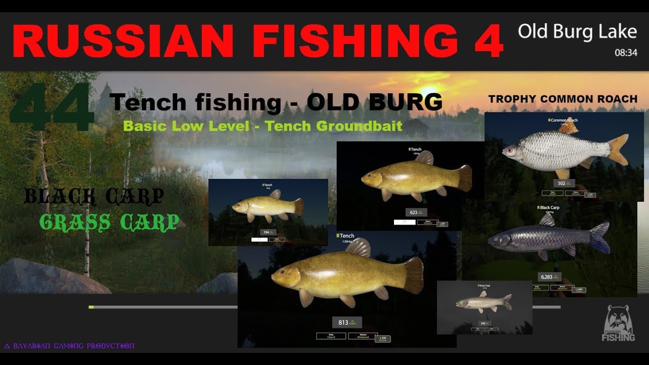 Russian fishing 4 tench groundbait Clearance