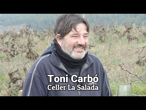 Vídeo: Mildiu de síndria: obteniu informació sobre el tractament del mildiu a les plantes de síndria