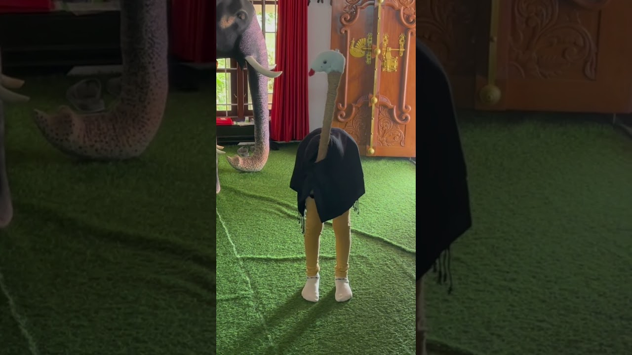 Fancy dress - ostrich