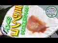 【めだか】ミジンコのすべてをメダカの生産者さんから学ぶ(最高の餌と言われる理由と培養のコツ)