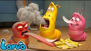 Larva Movie 2026: Yellow Blows Smoke, Red Goes Berserk Is Pink Secretly Behind This Prank Disaster?