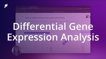 Differential Gene Expression Analysis | Pluto Bio