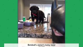 Top Viner Compilation Bat Dad Oldest - June 2015
