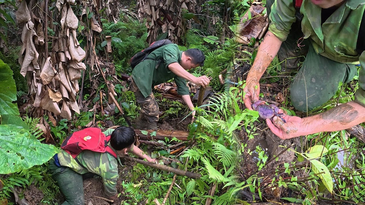 Lẩu cua với rau rừng, hoa chuối nấu chuột núi, cuộc sống tự nhiên