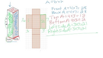 Surface Area of Rectangular Prisms Using Nets