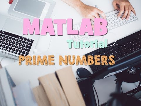 FIND PRIME NUMBERS