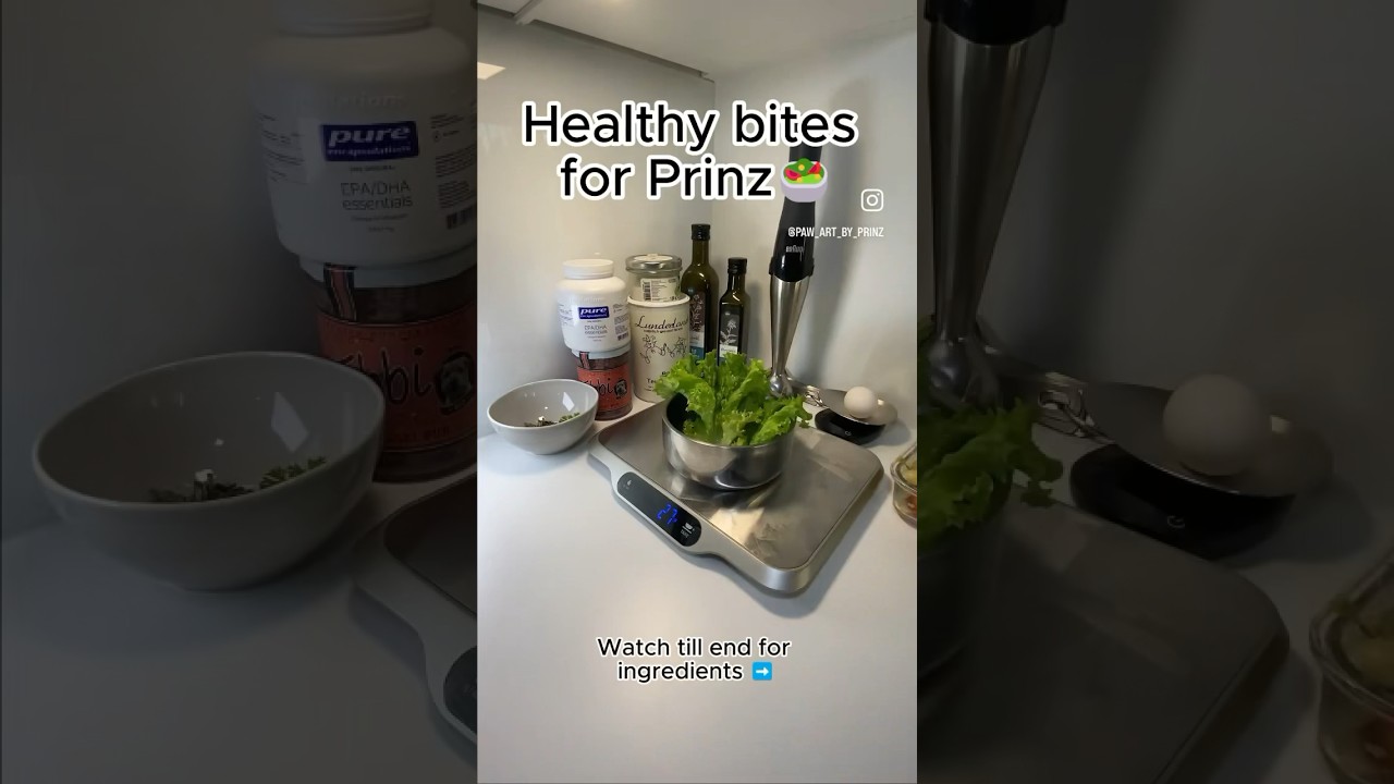 How to prepare heart healthy dog food! 