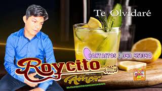 ROYCITO DEL AMOR_2023_Te Olvidaré-Official Youtube