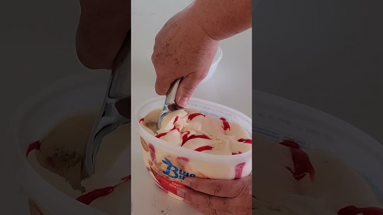  The ULTIMATE Ice Cream Scoop Review Discover Your Perfect Scooper