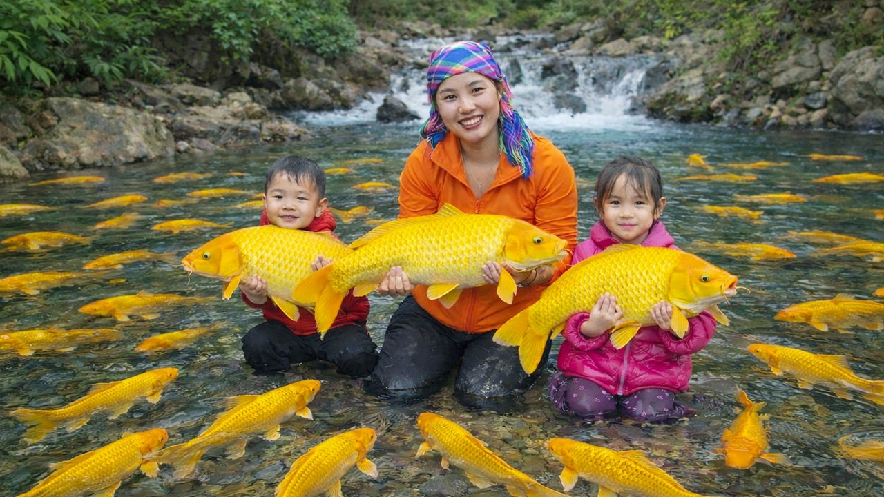 Huge Fish Catch from Our Pond | Delicious Meal for My Little Daughter