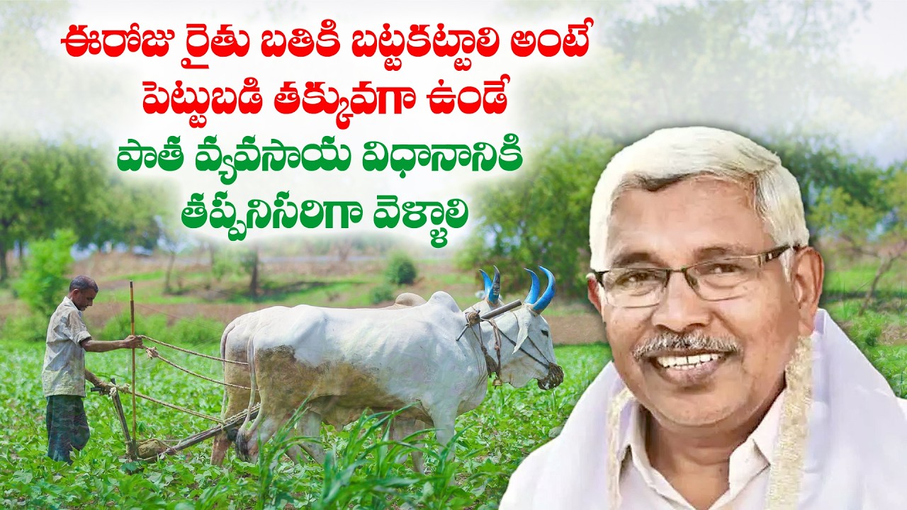 ఈరోజు రైతు బతికి బట్టకట్టాలి అంటే పెట్టుబడి తక్కువగా ఉండే పాత వ్యవసాయ విధానానికి తప్పనిసరిగా వెళ్ళాల