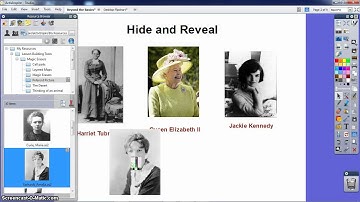 Hide and Reveal Text