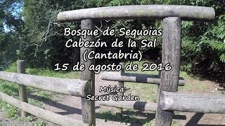 Bosque de Sequoias (Cantabria)
