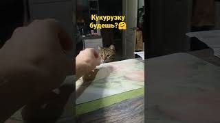 Будешь? 🤗