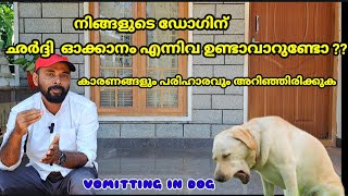 Vomiting in Dogs / Reasons for dog vomiting in malayalam #dogvomiting #doghealth #kunjansmedia