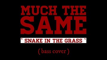 Much The Same || snake in the grass ( bass cover )