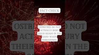 Creative Minds Unite: Artistic Takes on Psychological & Relationship Facts | Fact Check Shorts