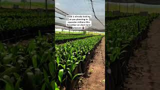 Dont Regret Your Actions In 2026 Start Now Call 2349063533357