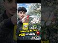Apple Fruit Setting Secrets: PGR Spray ka sahi waqt 🍎🌸