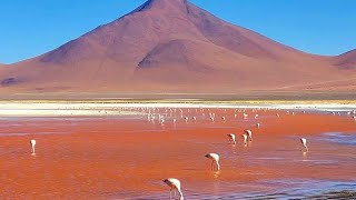 Salar de Uyuni & Colored Lagoons, Bolivia - 3 days tour (Part 2) #bolivia #salardeuyuni #saltflats