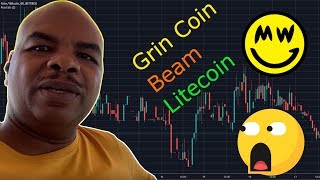 Davincij15 Watch this before you buy Grin coin ! Beam coin Litecoin Mimble Wimble MMCrypto