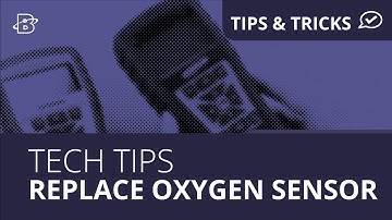 Tech Tips | How to Replace Oxygen Sensor for InTech & Insight Plus