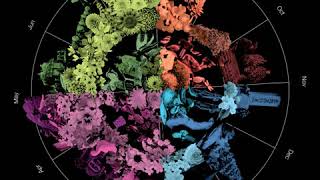 Download Lagu Visualizing \ MP3