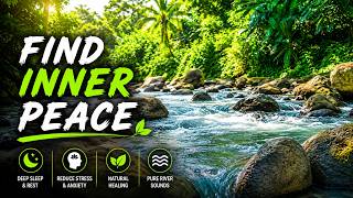 Meditation & Inner Peace River Flow 🍃 Tropical Forest Therapy