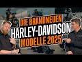 NEU Harley-Davidson Modelle 2025 - Fakten und Highlights - Reaction by Thunderbike