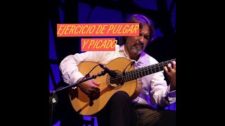 Gran EJERCICIO  de Pulgar y Picado "El DESPERTADOR" 🙂🌍🦩