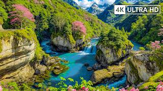 Relax Completely With This Soft Music 🌿 Stress Relief And Deep Sleep