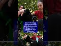 Adoptable dog afternoon at Encore Assisted Living