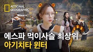 [#에스파의싱크로드] 아기 치타 윈터의 사냥일지 모음.zip